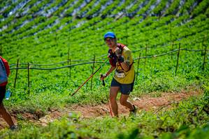 BIB: 
                            <button type="button" onclick="openModal(19164430)" class="btn btn-primary btn-sm float-right btn-popup" data-toggle="modal" data-target=".modal-high-quality">
                        <i class="fas fa-shopping-cart"></i> Add to Cart
                    </button>
                                            <button type="button" onclick="isThisMe(19164430, true)" class="btn btn-success btn-sm float-right btn-popup btn-isme hidden" data-toggle="tooltip" data-placement="bottom" title="นี่คือรูปของคุณใช่ไหม คลิกที่นี่เพื่อเอาเข้าอัลบั้ม">
                        <i class="fas fa-plus"></i> Add to album
                    </button>
                    <button type="button" onclick="isThisMe(19164430, false)" class="btn btn-warning btn-sm float-right btn-popup btn-isnotme hidden">
                        <i class="fas fa-ban"></i> Remove from album
                    </button>